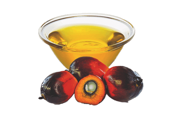 Palmuöljy SG kontti