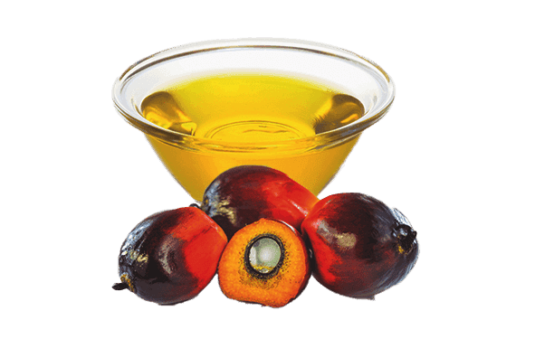 Kultasula 30 paistorasva SG 10 kg