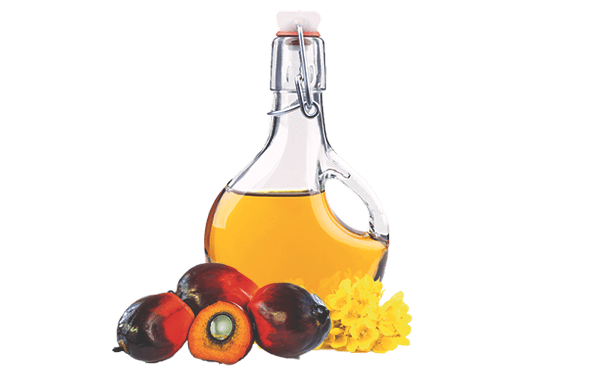 Kultasula paistoöljy SG IBC-kontti