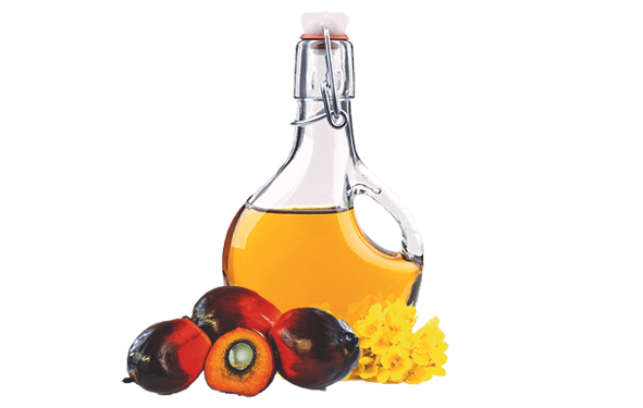 Paistoöljy SG IBC-kontti